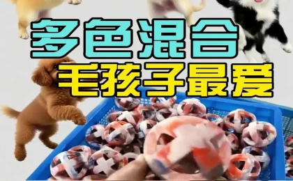 多色宠物玩具诞生记！科隆阁 CMS-3COLOR 注塑机，让毛孩子爱不释手?