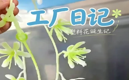 科隆阁 CMS170 双色注塑机｜双色渐变仿真花花蕊一体成型