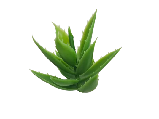 科隆阁 TEC 假花注塑机