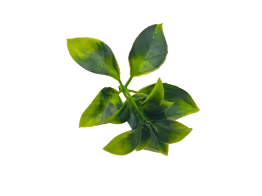 科隆阁 CMS 双色假花注塑机