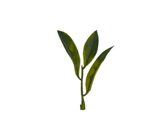 科隆阁 CMS 三色假花注塑机