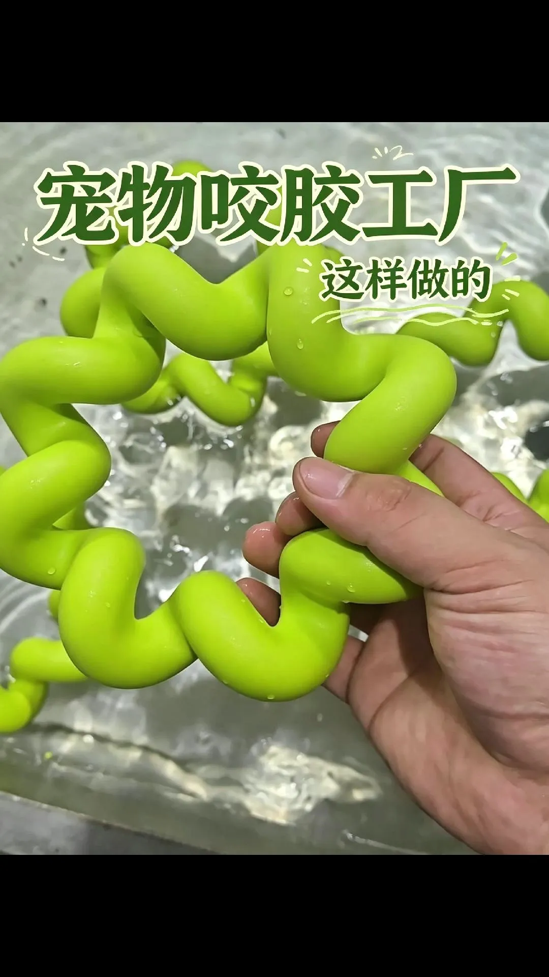 宠物咬胶制品 量产优选科隆阁K-TEC伺服注塑机
