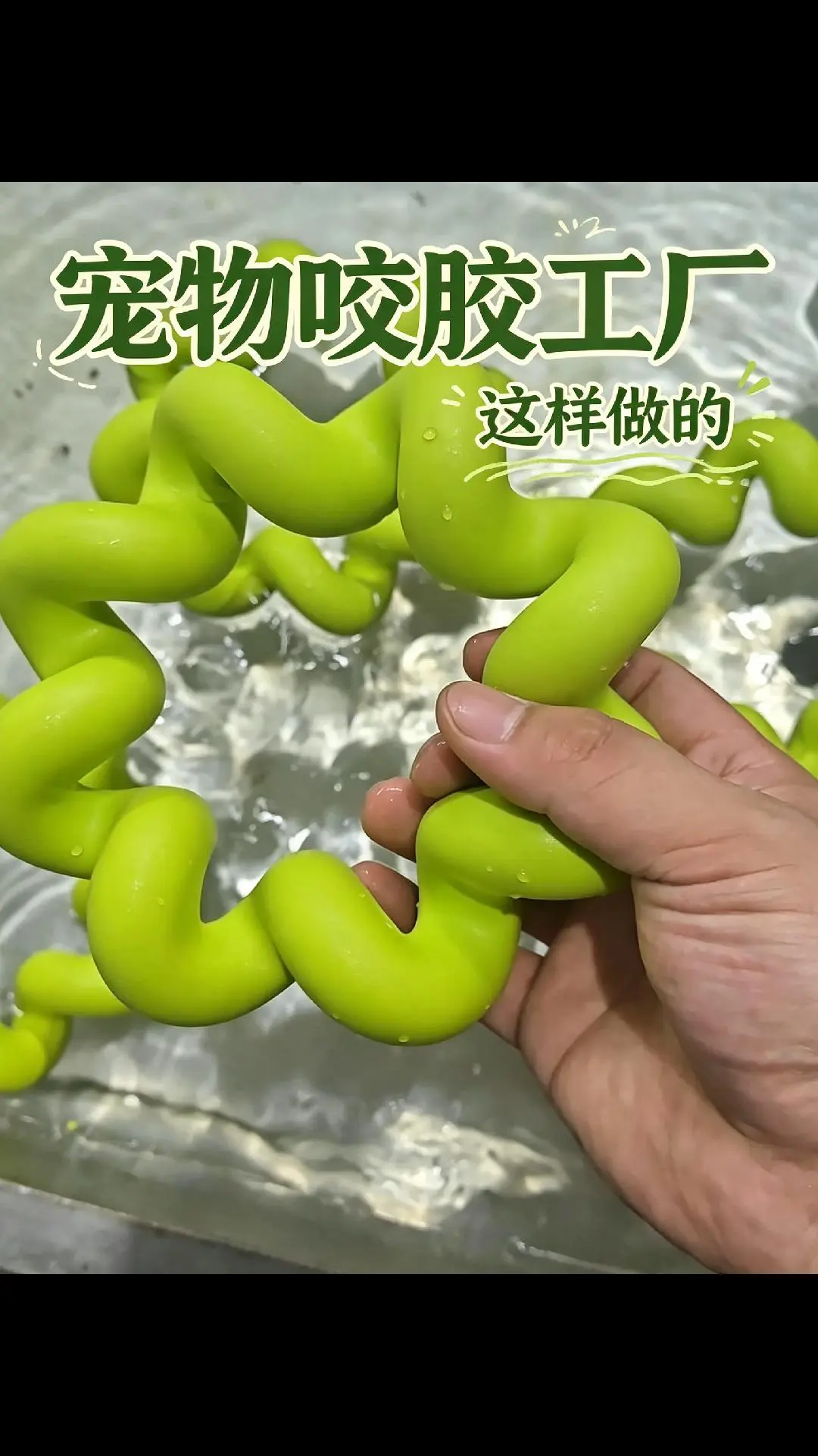 Konger K-TEC270 | Production of Special-shaped Pet Chews.